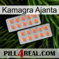 Kamagra Ajanta 27